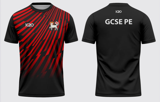 St Johns GCSE PE T